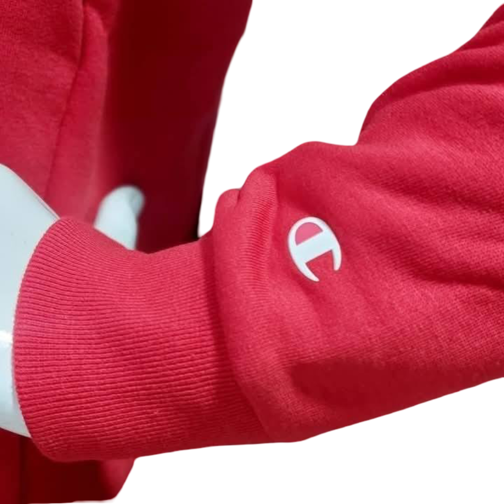 CHAMPION HOODY