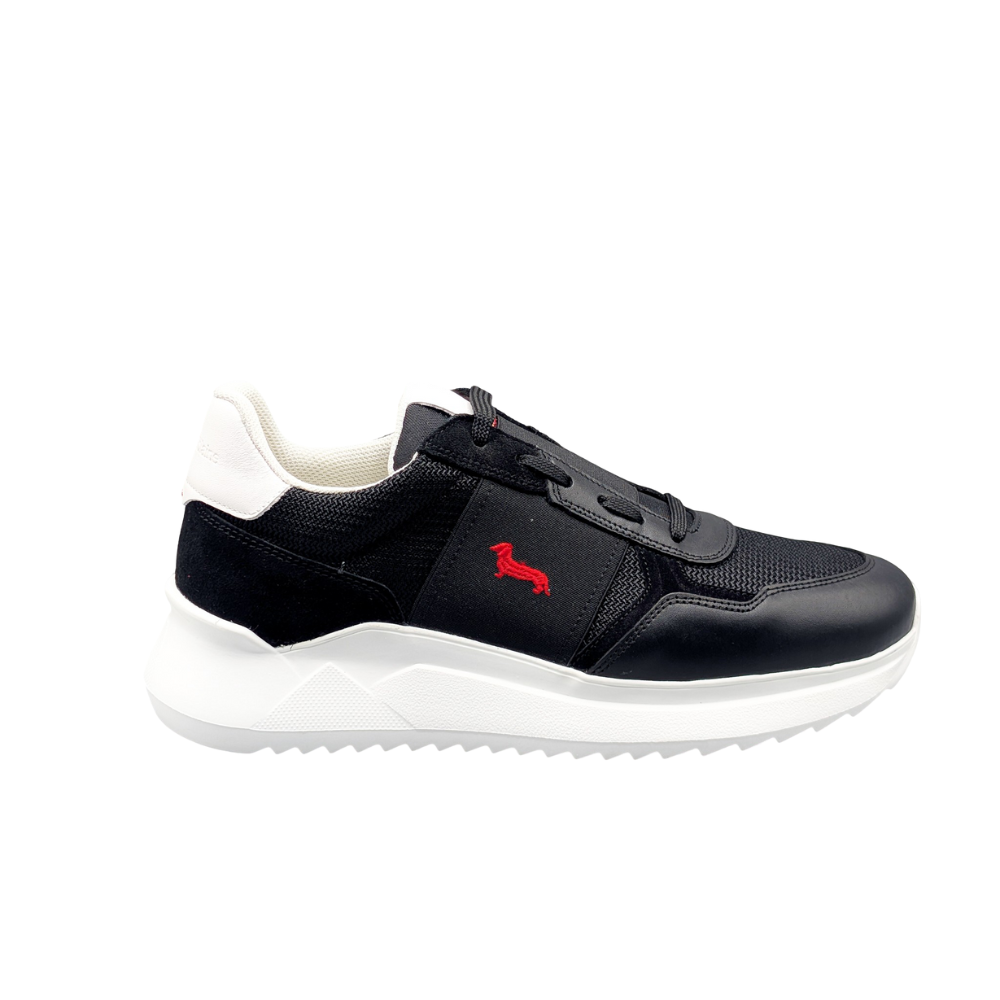 HARMONT ET BLAINE CALF NERO